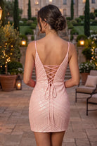 Sky Blue V Neck Sheath Sleeveless Sequin Homecoming Dress Back View