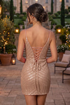 Emerald V Neck Sheath Sleeveless Sequin Homecoming Dress Back View