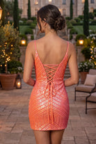 Dusty Blue V Neck Sheath Sleeveless Sequin Homecoming Dress Back View