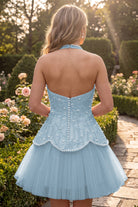 Sky Blue Pearl A Line V Neck Homecoming Dress Back View