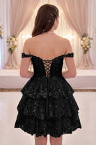 Sky Blue lace tulle a-Line tiered homecoming dress back view